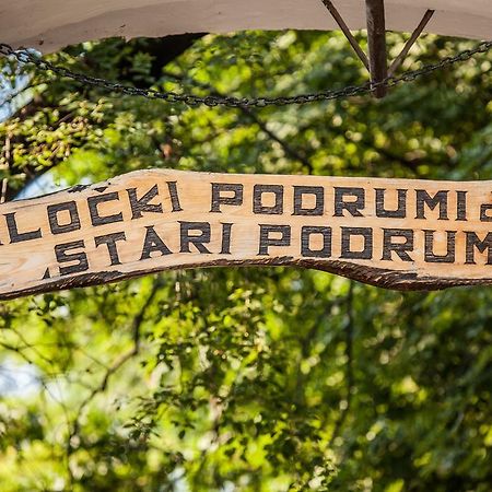 Hotel Stari Podrum イロク エクステリア 写真