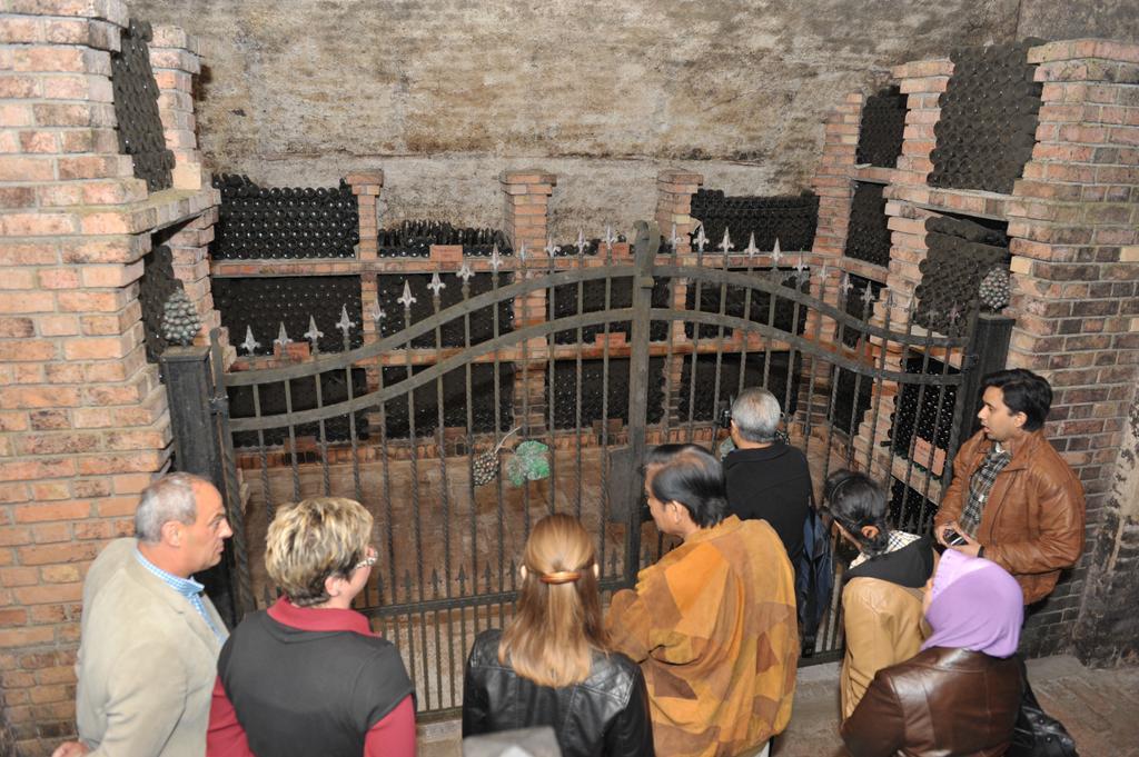 Hotel Stari Podrum イロク エクステリア 写真