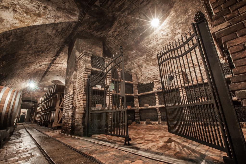 Hotel Stari Podrum イロク エクステリア 写真