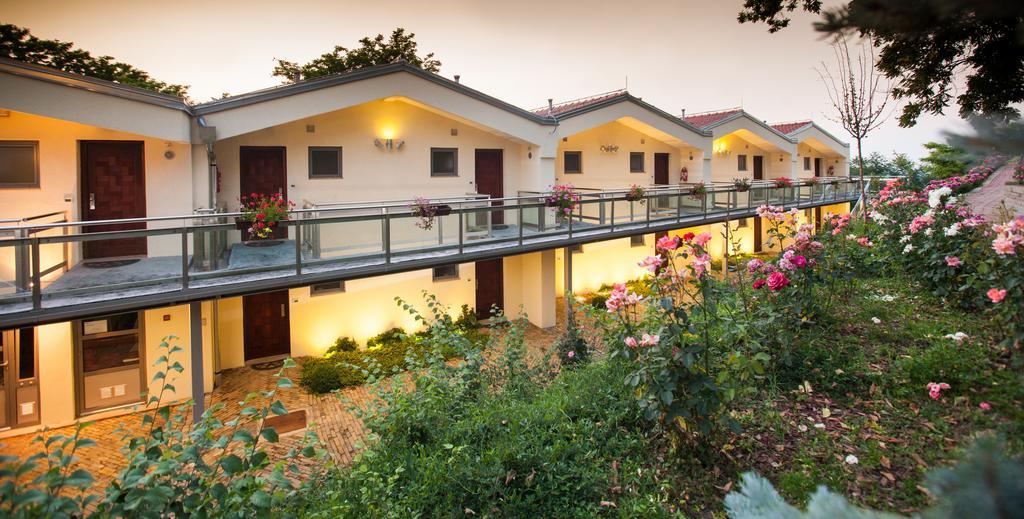 Hotel Stari Podrum イロク エクステリア 写真