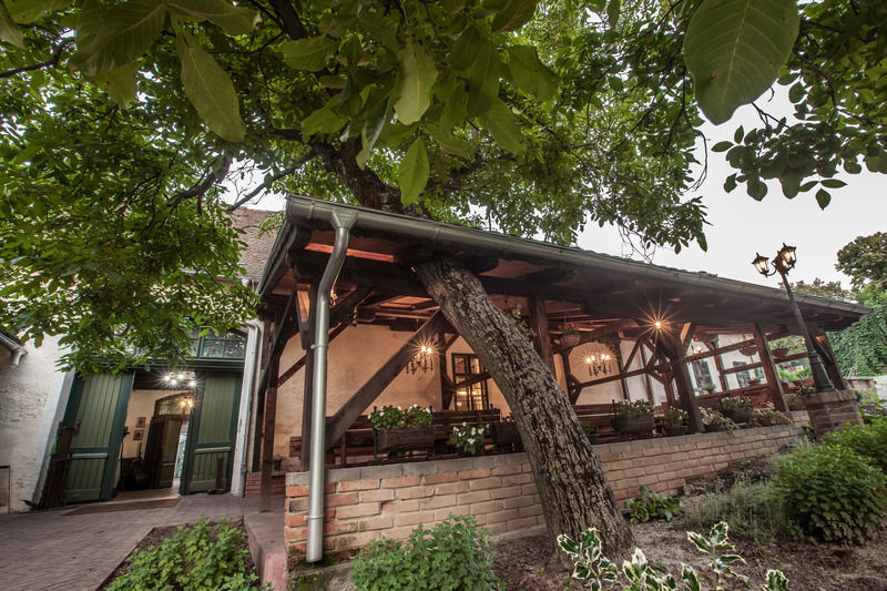 Hotel Stari Podrum イロク エクステリア 写真