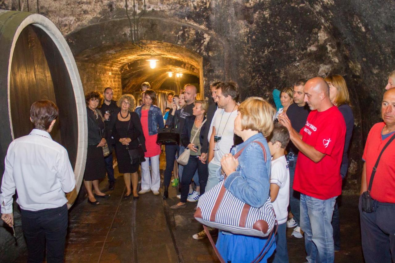 Hotel Stari Podrum イロク エクステリア 写真